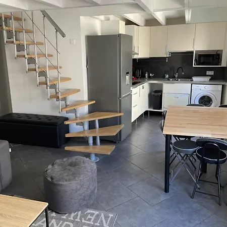 T3 Duplex5 Hyper-centre Climatisé Albi