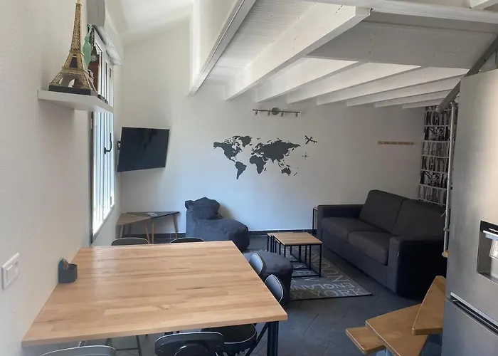 公寓 T3 Duplex5 Hyper-centre Climatise 阿尔比