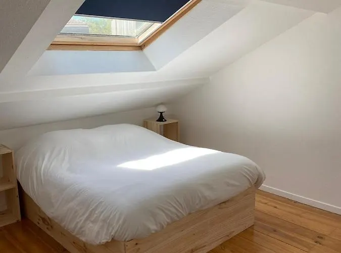 T3 Duplex5 Hyper-centre Climatise Апартаменты Альби